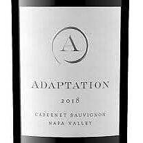 0000adaptation