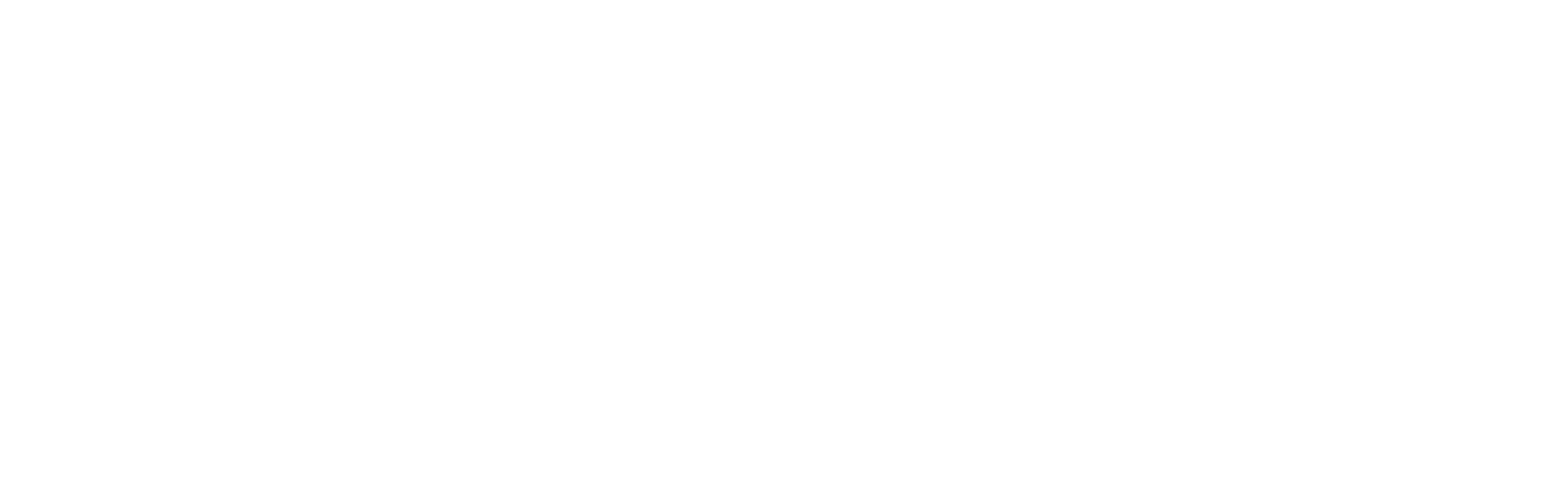 Alexandria Plaza Liquor logo - white
