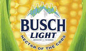 Busch Light 16oz 15 Alum