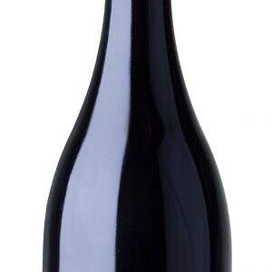 Penner-ash Pinot Noir