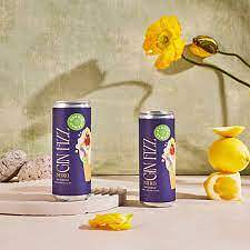 Straightaway Gin Fizz Sngl